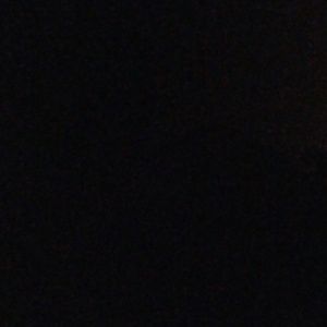 Meet your Posher, Max